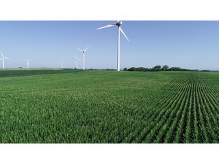 Bureau County, Illinois farmland - LAND AND WIND RIGHTS AUCTION - 337+/- ACRES IN 4 TRACTS IN BUREAU COUNTY, ILLINOIS